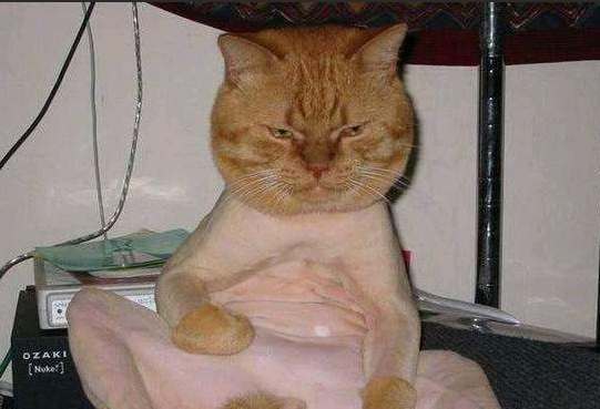 有没有自建房要卖的 本人想要自建房 有的联系我城南这